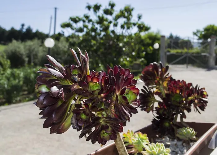 Arcobaleno Bed & Breakfast Casteltermini